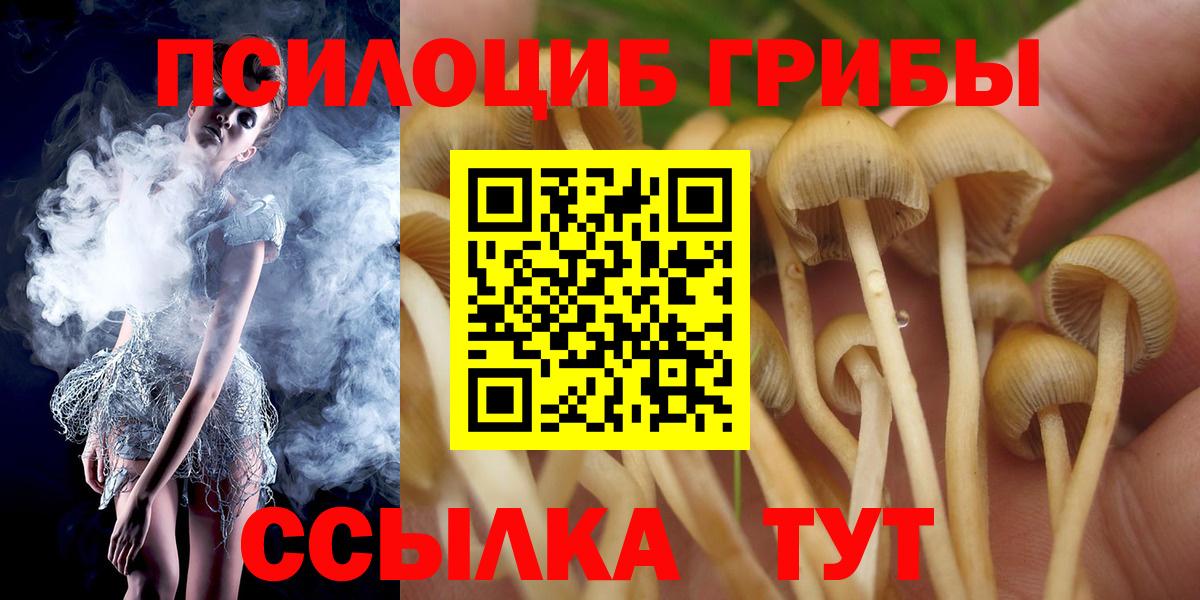 Псилоцибиновые грибы Psilocybe  Вход с VPN  Клин 